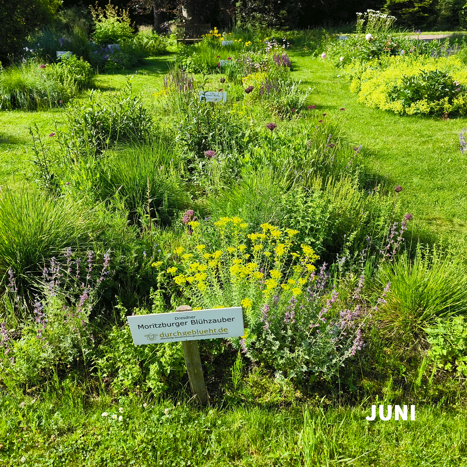 Château Moritzbourg