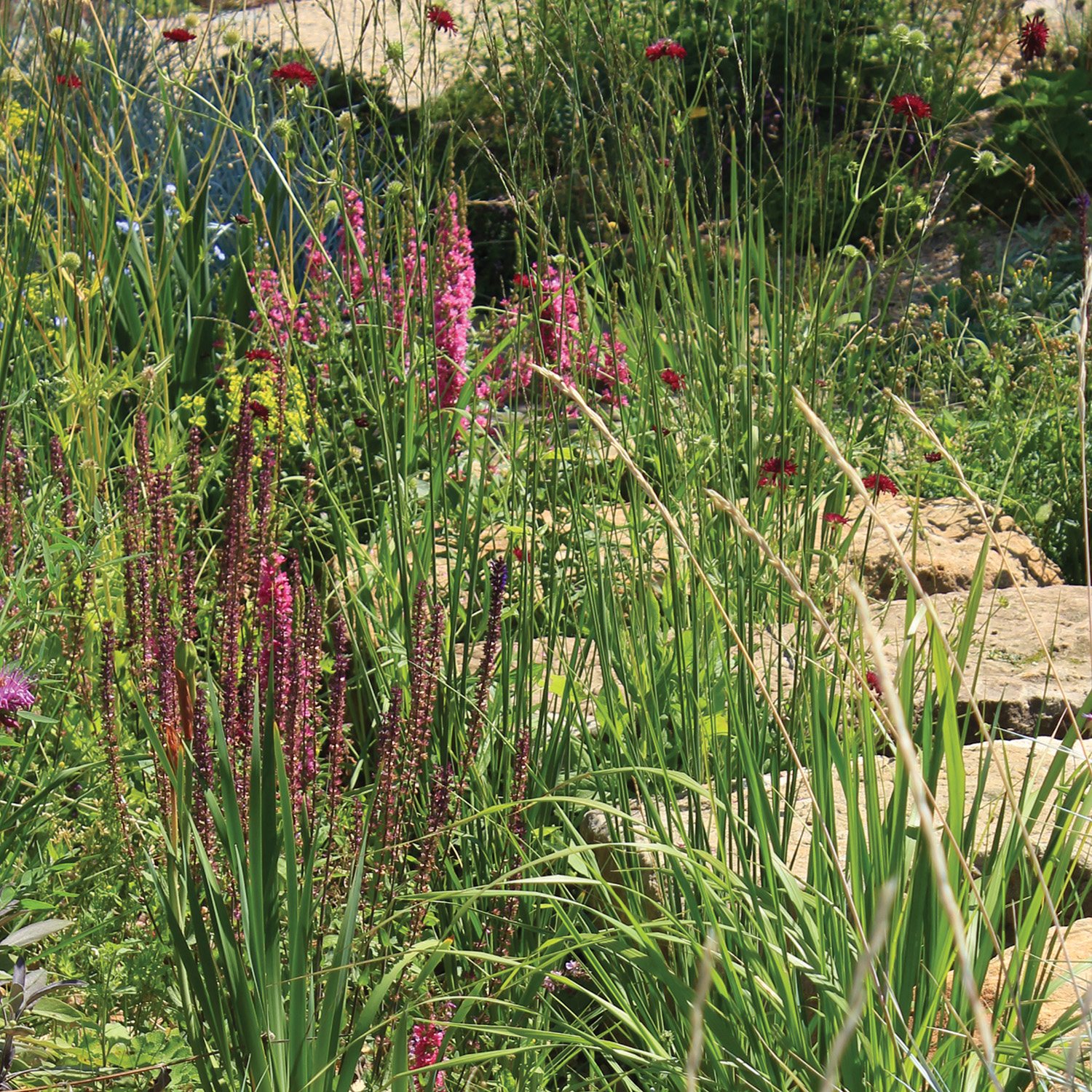 Mélange D' Infiltration 