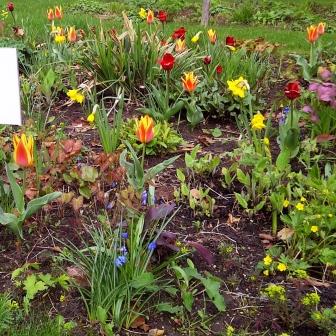 Bordure florale