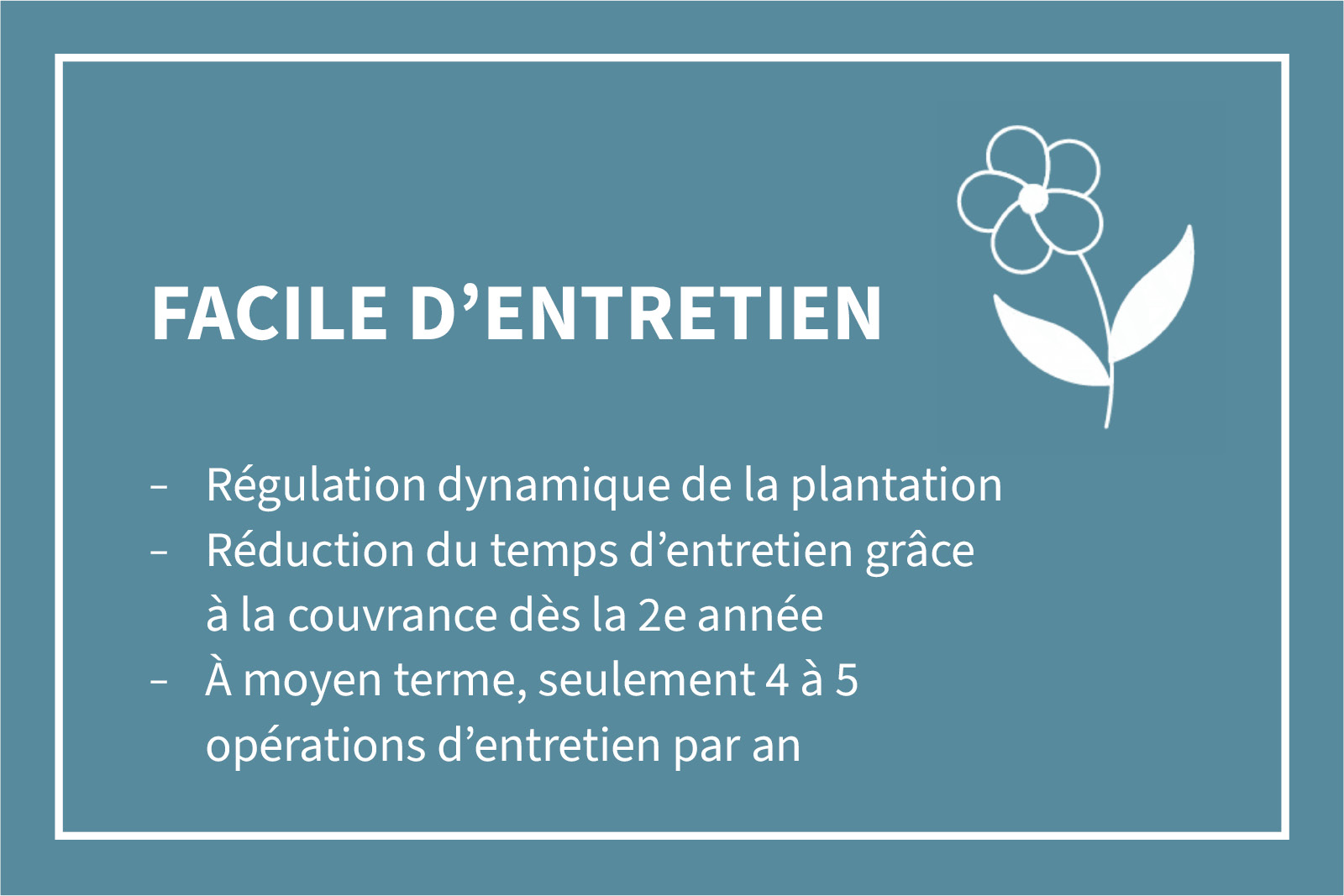Bannière avec texte: Facile d'entretien - Régulation dynamique de la plantation, Réduction du temps d'entretien grâce à la couvrance dès la 2e année, À moyen terme, seulement 4 à 5 opérations d'entretien par an
