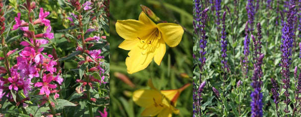 Mélange D' Infiltration 