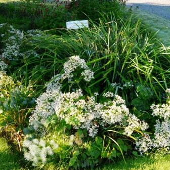 Bordure florale