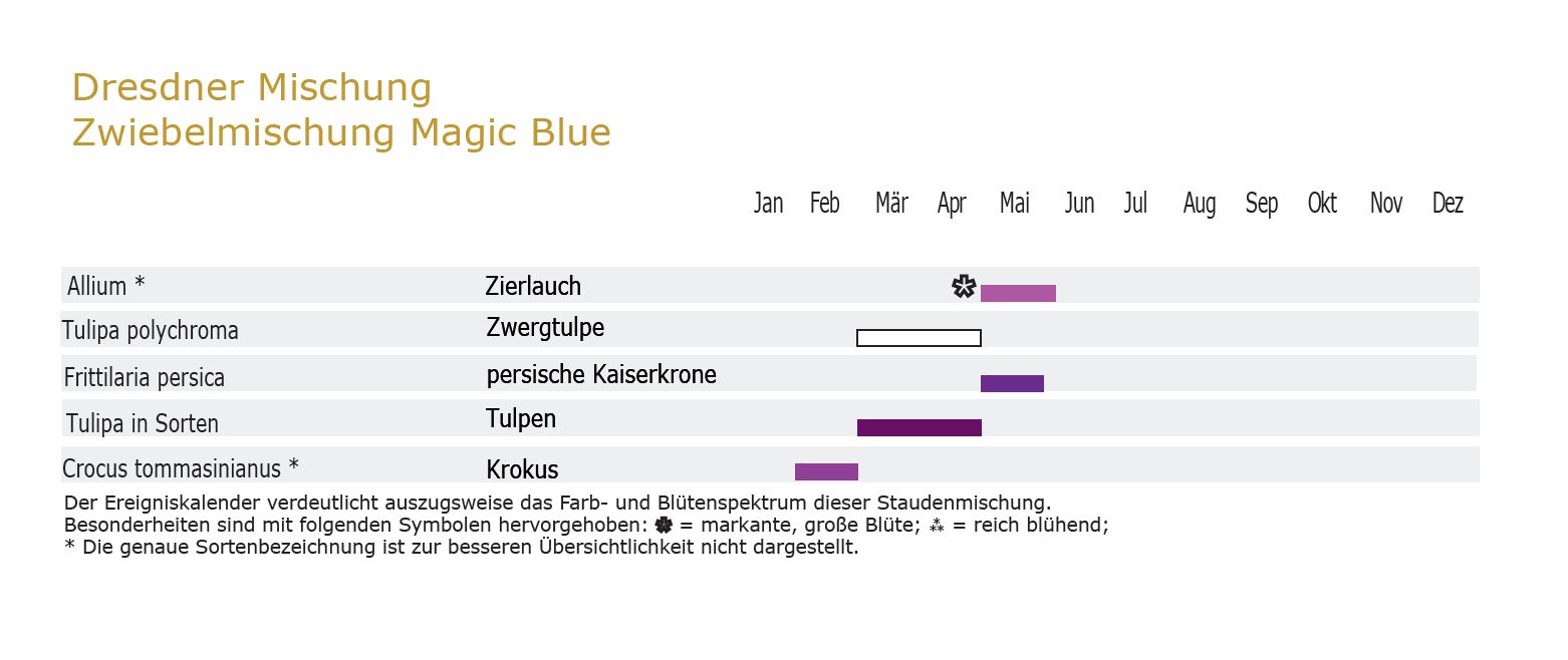 Magic Blue - Mélange de bulbes 