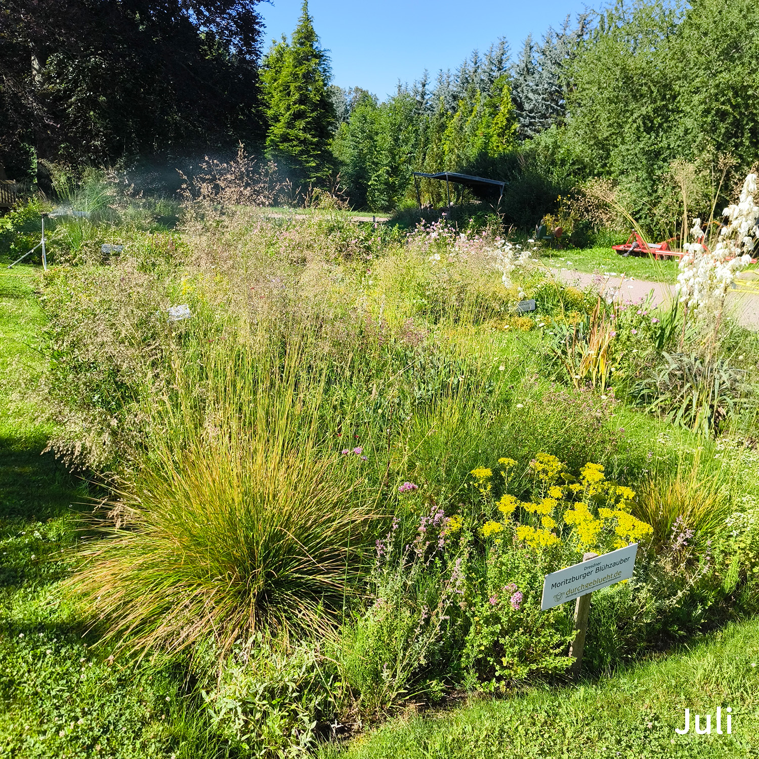 Château Moritzbourg