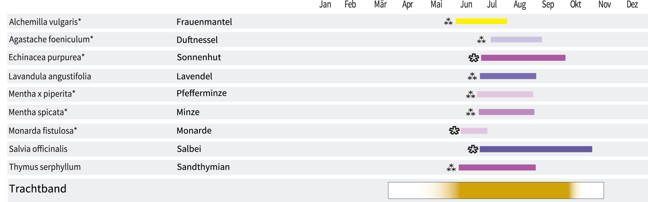 Mix Tisane Elixir de fleurs